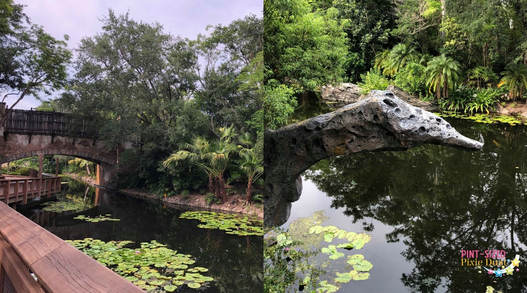 Quiet places to rest in Animal Kingdom at Walt Disney World 