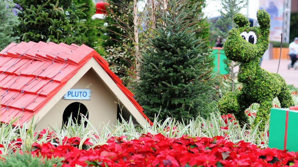 Pluto topiary and dog house during the International Festival of Holidays at Epcot