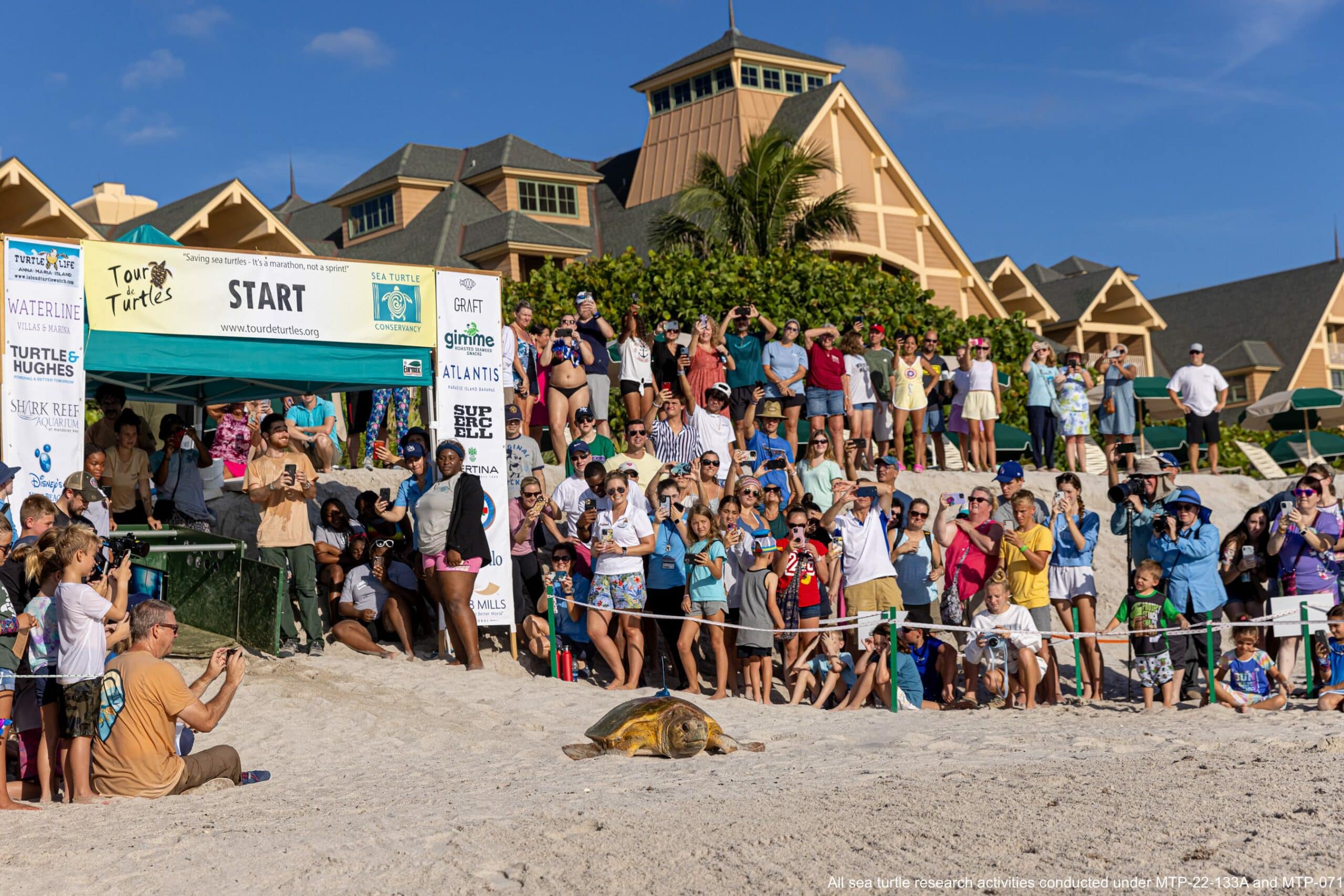 tour de turtles 2022 at disneys vero beach resort scaled