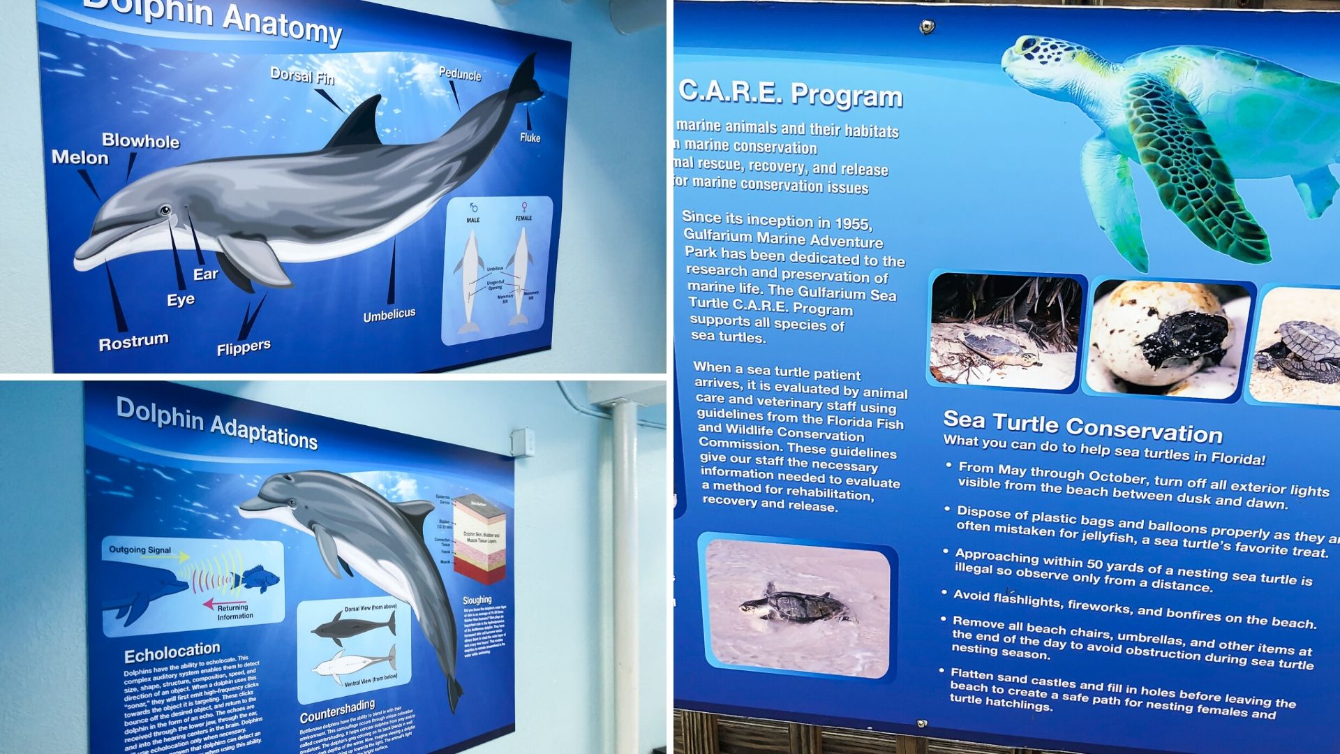 Animal Exhibits - Gulfarium Ft Walton Beach Florida 