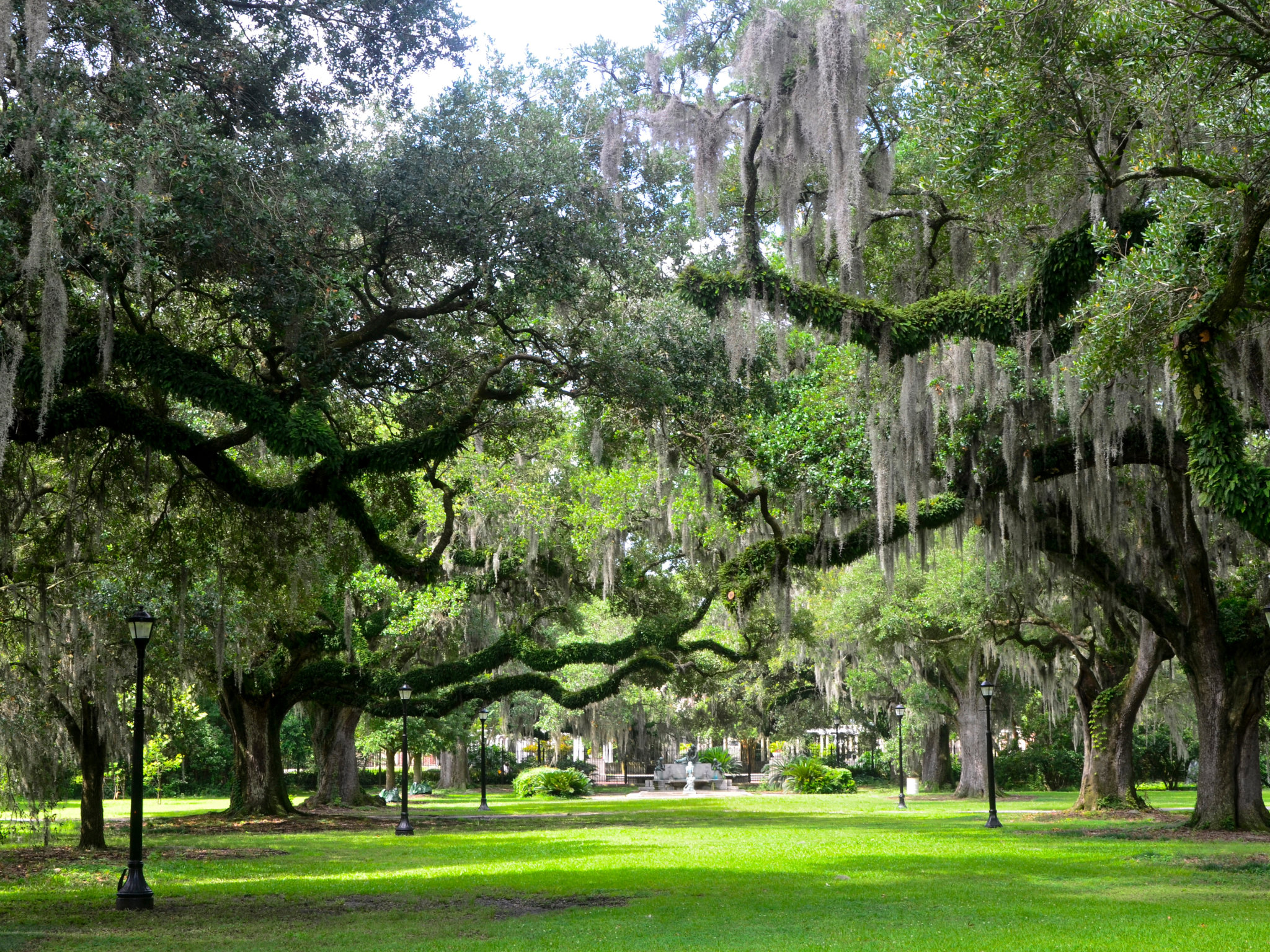 Audubon Park New Orleans