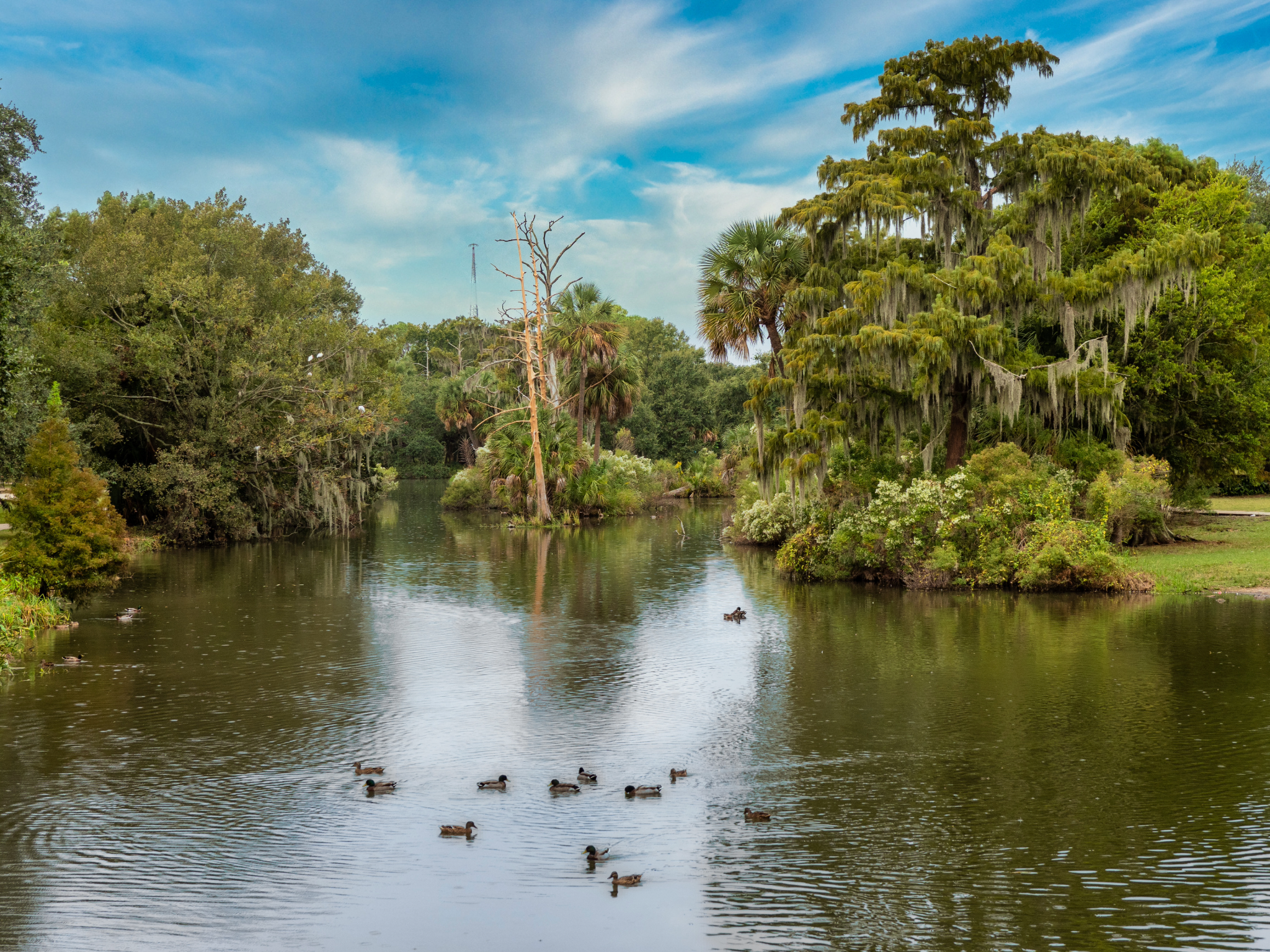 City Park New Orleans