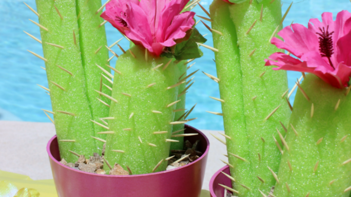 Pool Noodle Cactus