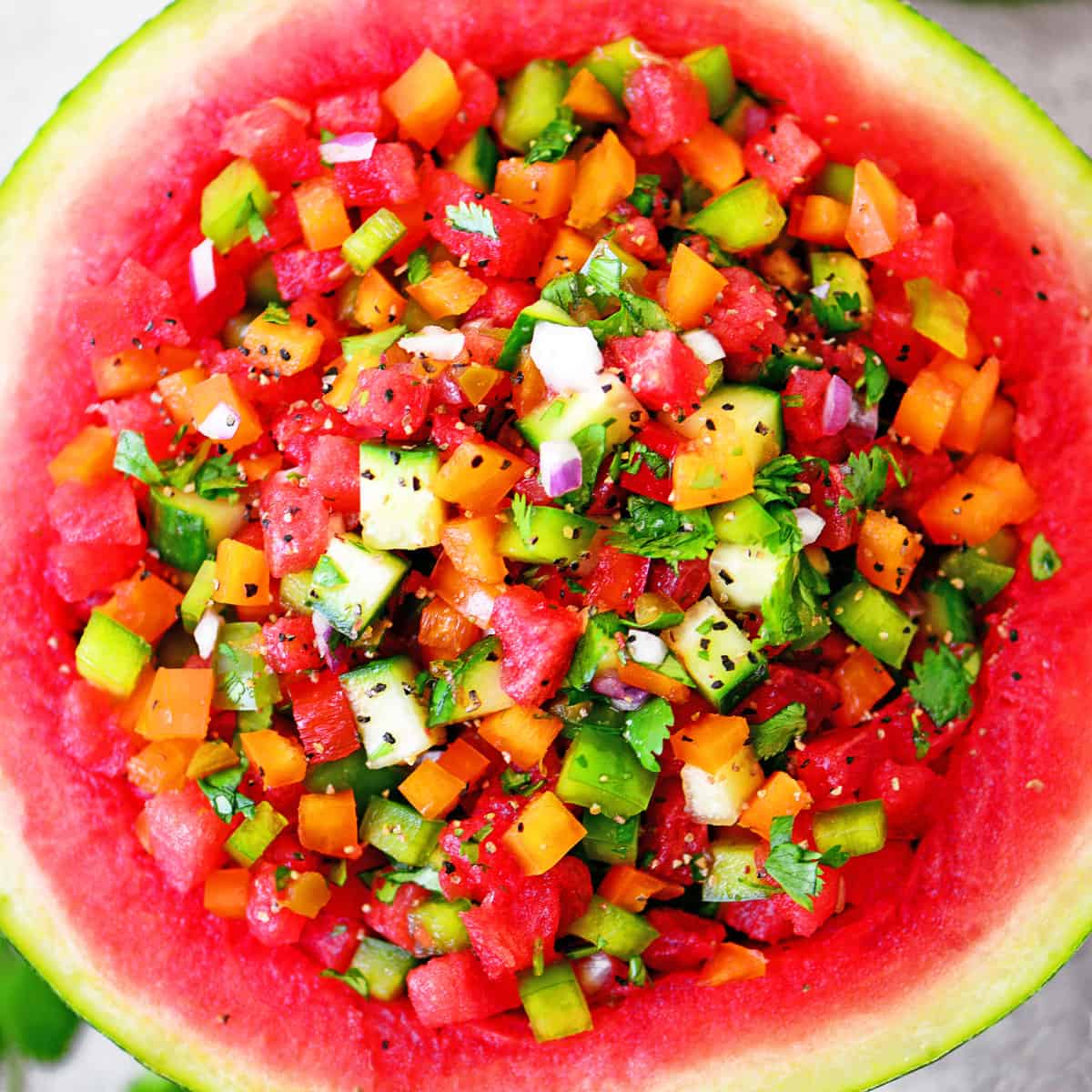 Watermelon Salsa Recipe Topdown SQ