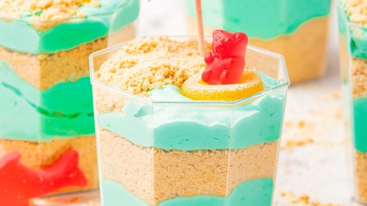 beach bear pudding cups