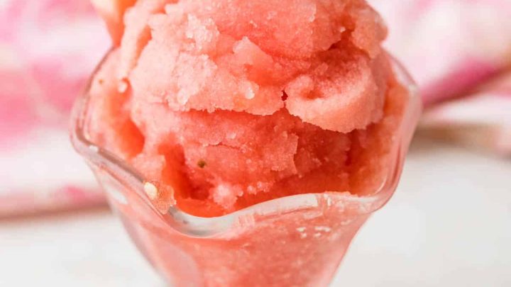 watermelon sorbet recipe 11