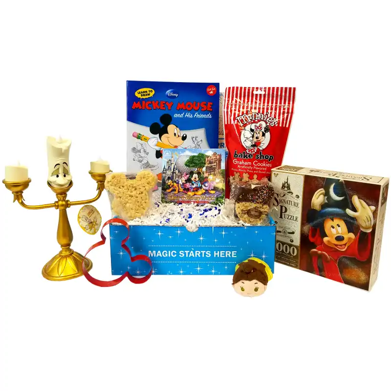 Mickey Monthly Subscription Box