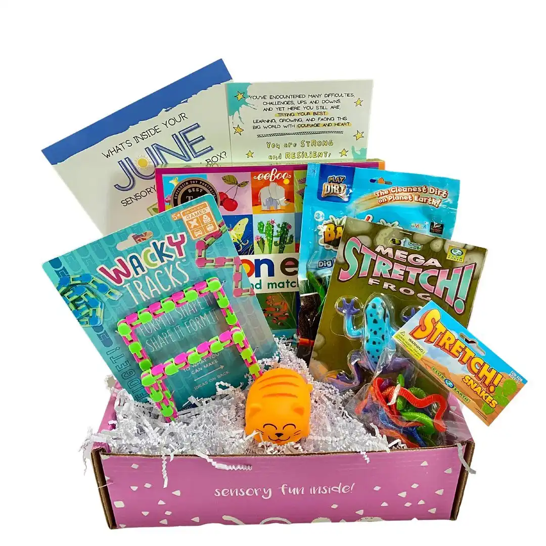 Sensory Therapy Play Box