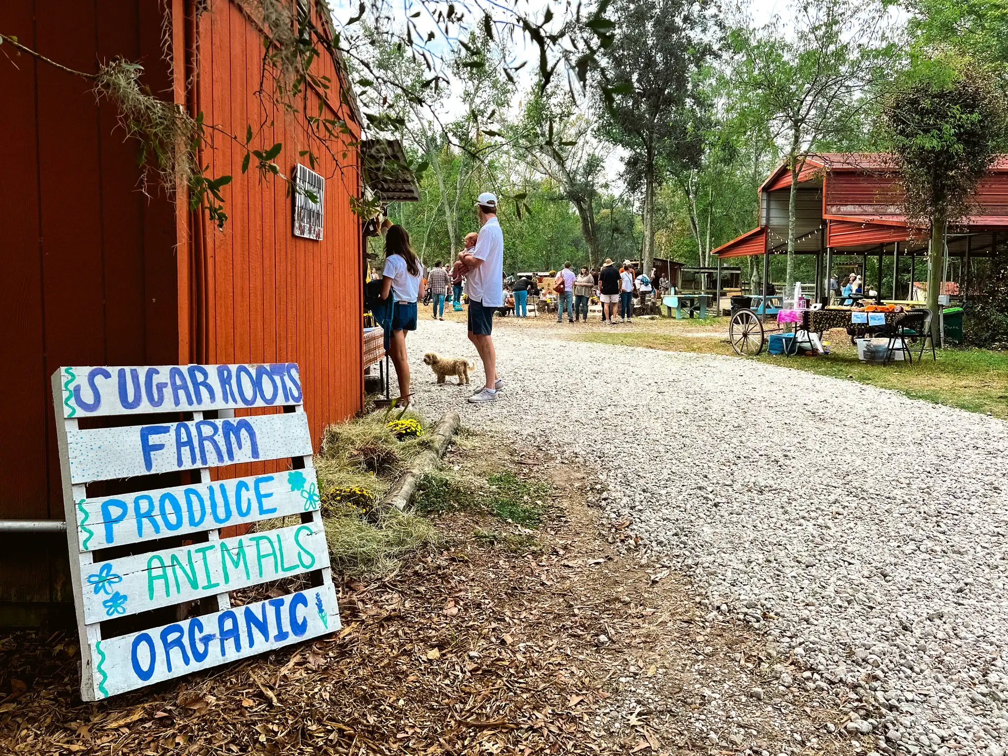 Tips for Visiting Sugar Roots Farm