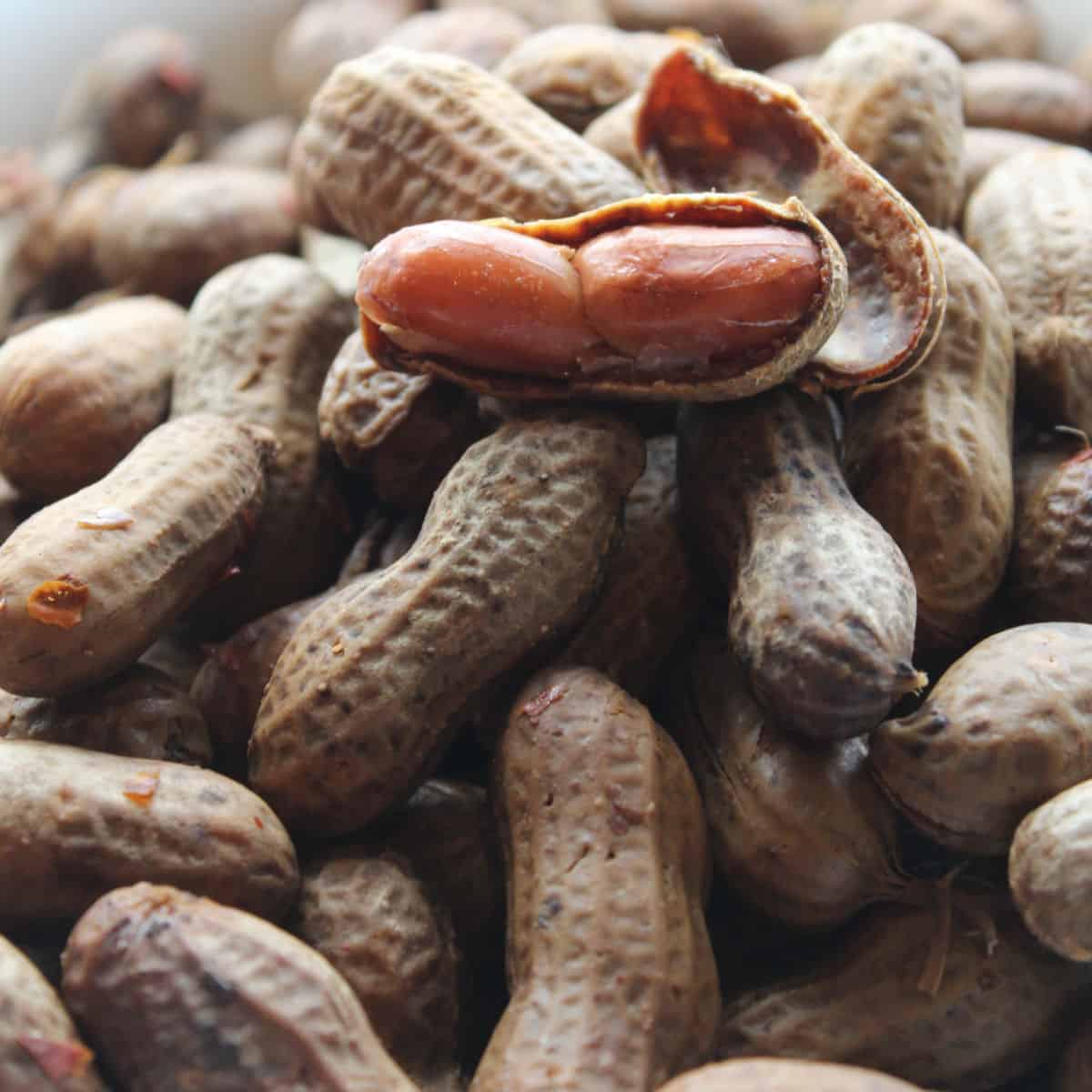 Crock Pot Cajun Boiled Peanuts Easy Recipe