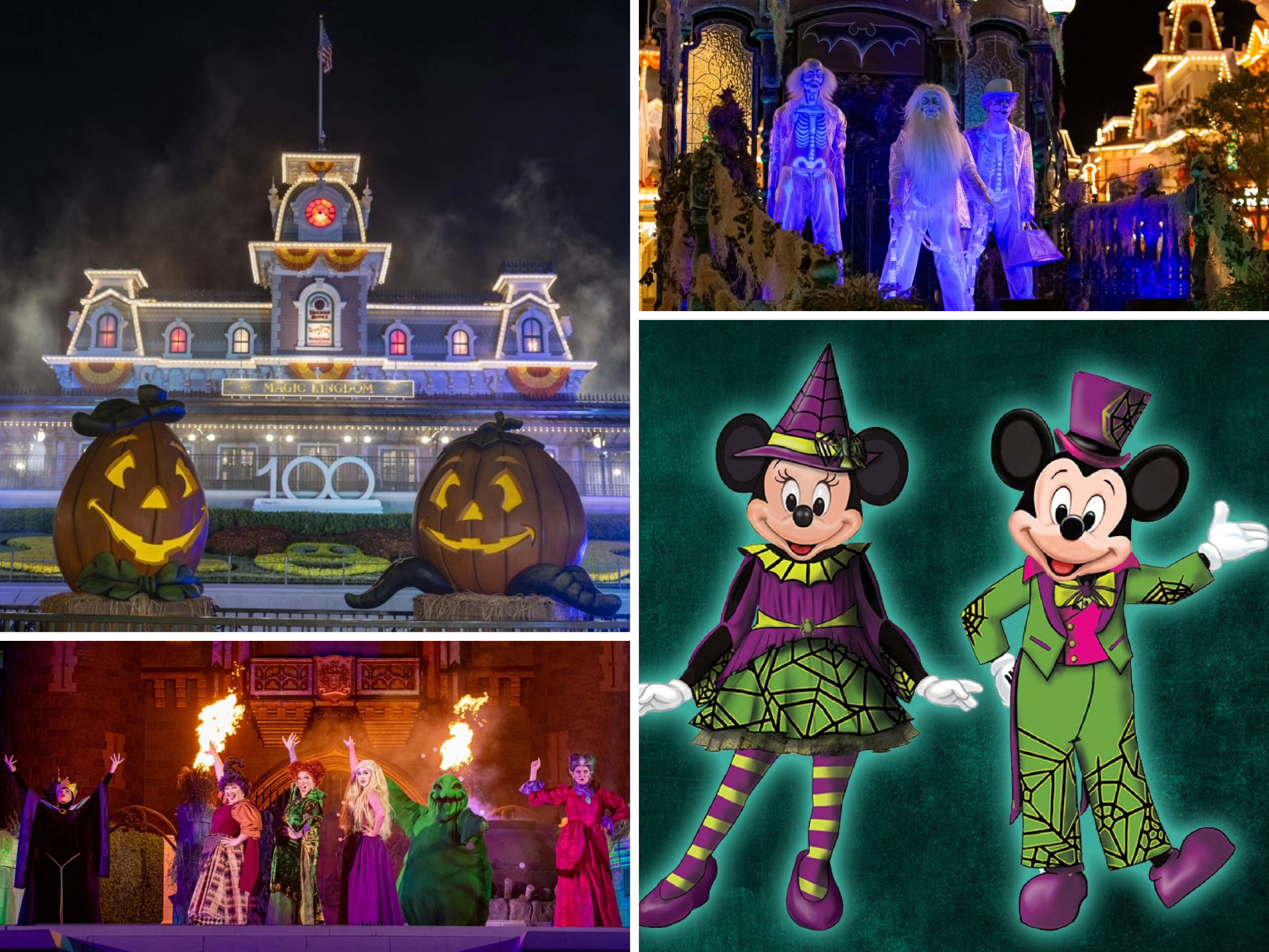 Mickey's Not So Scary Halloween Party 