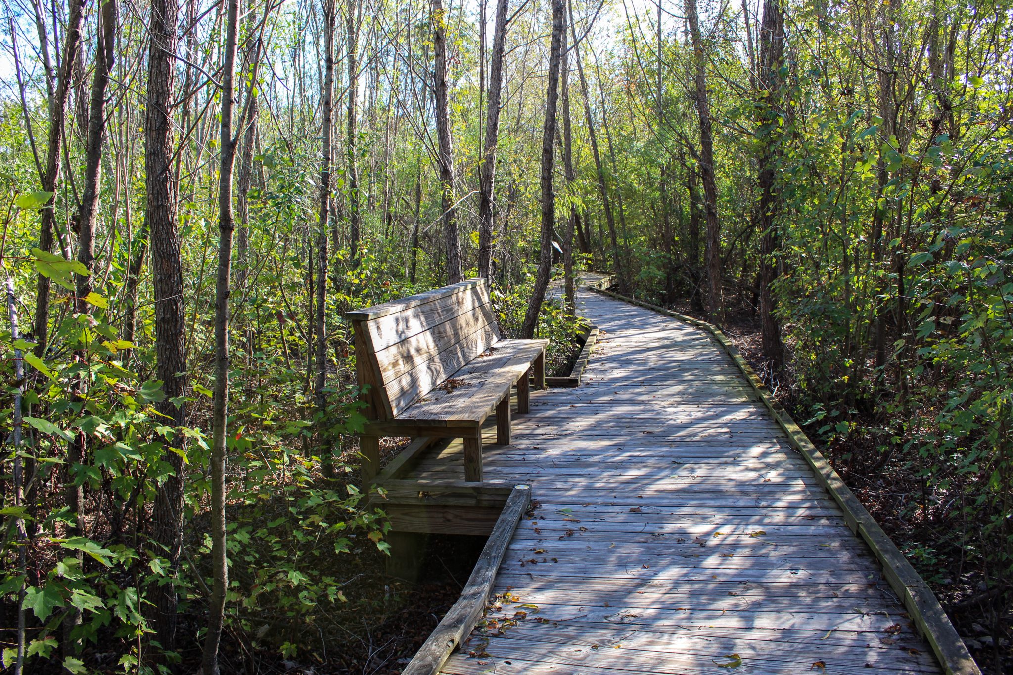 Nature Trail 11.21.23 17 scaled