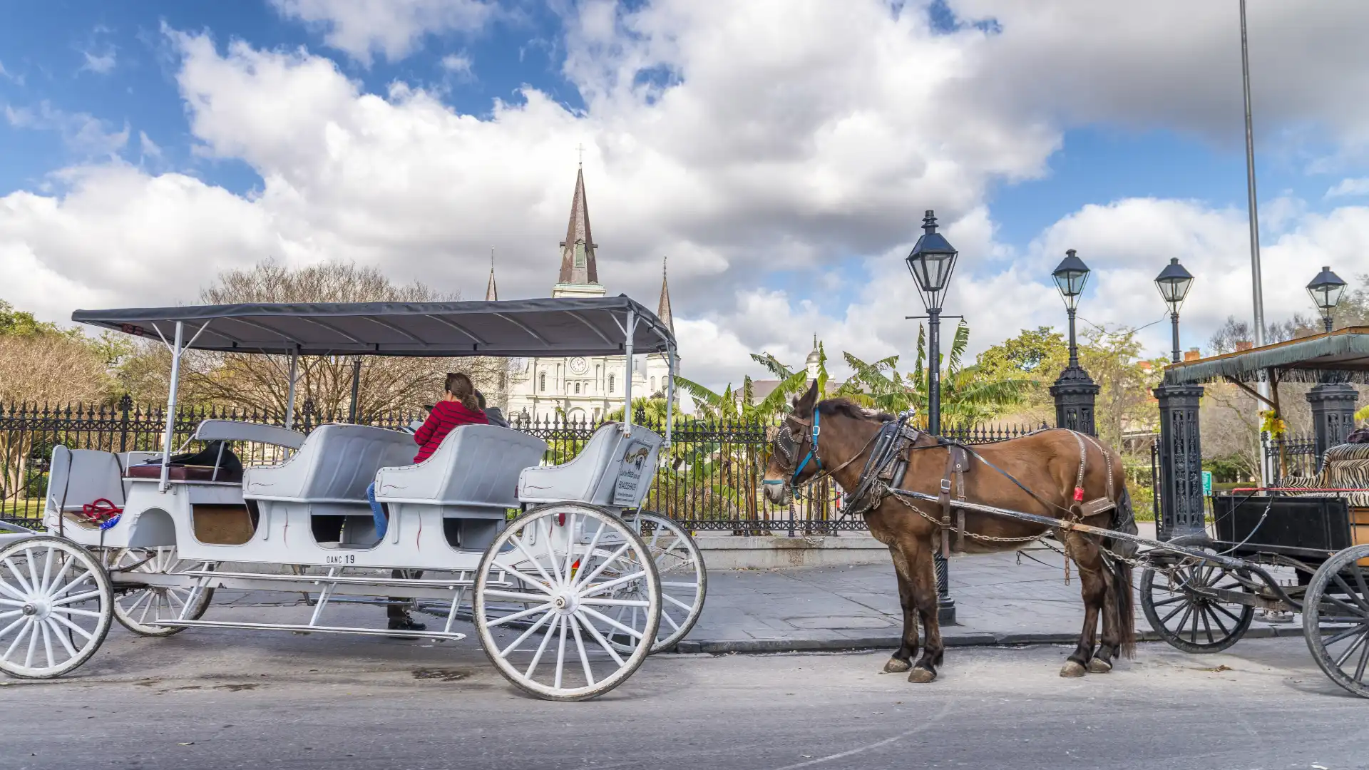 The French Quarter & Marigny Carriage Tour