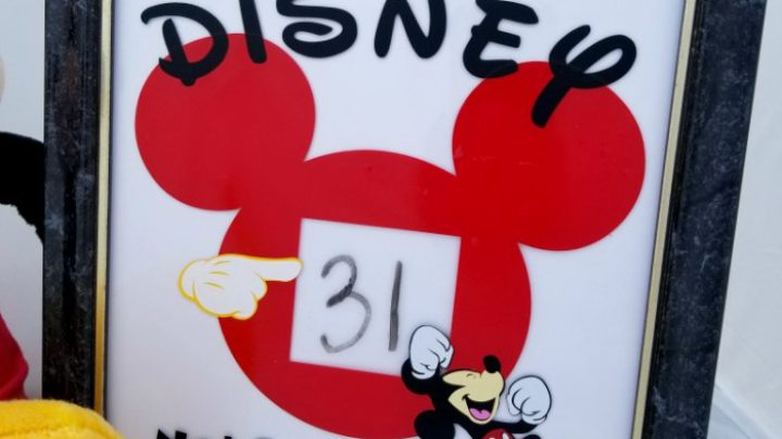 disney vacation countdown 1 8